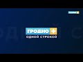 В Гродненских лесах начали сбор сока. Одной строкой