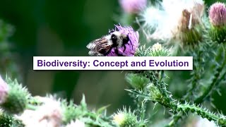 Biodiversity:  Concept and Evolution