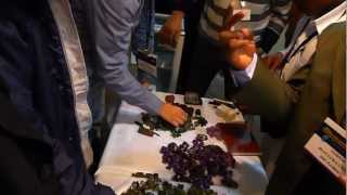 THE GEM SHOW IN ARUSHA TANZANIA 26-29 04 2012