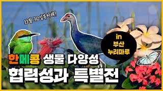 [제1차 한 메콩 정상 회의 기념] 메콩의 생물; 사람을 잇다, 미래를 열다 특별전