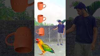 Rounding cup to Duck, Peacock, Pigeon \u0026 Parrot - Birds names magic video