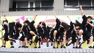 avex artist academy福岡校 DANCE NATION 福岡選抜チーム 食肉フェスタ2016