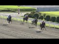 2023年10月13日川崎競馬能力調教試験