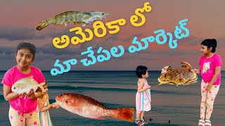 అమెరికా లో మా చేపల మార్కెట్ | Live Fish Market in USA |  #fish #fishmarket #usa #India #life #live