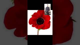 We will remember them, 2 minutes silence ❤️💙❤️💙