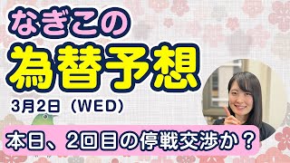 FX/為替予想「本日、２回目の停戦交渉か？」#Shorts なぎこの為替予想　2022年3月2日