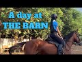 A DAY AT THE BARN !