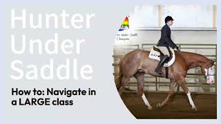 🤫 Inside scoop How to: Navigate the Hunter Under Saddle Pen 🐎