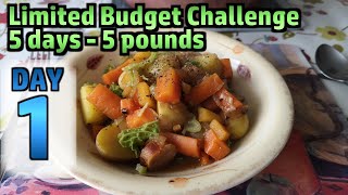 Limited Budget Challenge - £5 for 5 Days - DAY 1