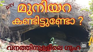 മുനിയറ കണ്ടിട്ടുണ്ടോ? വനത്തിനുള്ളിലെ ഗുഹ |muniyara- cave in the dense forest