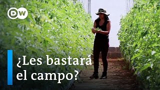 Centroamérica quiere retener a sus jóvenes con agricultura