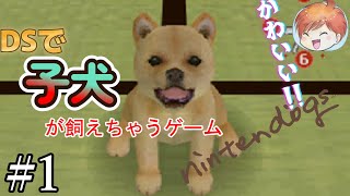 DSで子犬と一緒に暮らせちゃうゲーム｢nintendogs｣#1