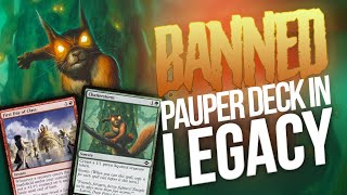 BANNED Pauper Deck in Legacy! SquirrelStorm — Relay, Chatterstorm, \u0026 First Day of Class Storm Combo