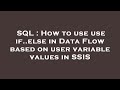 SQL : How to use use if..else in Data Flow based on user variable values in SSIS