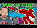 Neighbour Capping FOR THE WIN! Risk Meta Settings