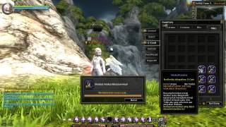 Dragon Nest INA ~ Open 90 Pcs Velskud Box