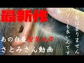 「白髪抜き」最新作 白髪密集地帯さとみさん動画