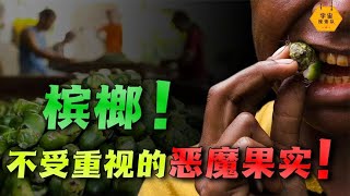 檳榔如何摧毀一個國家？不受重視的惡魔果實讓60%國民深受其害！｜宇宙搜索隊