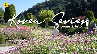 Korea Series EP 2: Countryside Tour | Garden of Morningcalm | Nami Island | Gangchon Rail Park