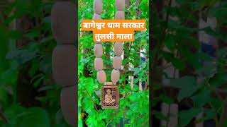 Bageshwar dham Sarkar  Secret Tulsi Mala 🚩बागेश्वर धाम रहस्य तुलसी माला