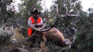 Colorado Trophy Unit #61 | Second Season Bull Elk