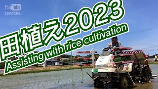 田植え2023　Assisiting with rice cultivation