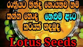 නෙළුම් ඇට කරියක් හදන්නේ මෙහෙමයි. #lotus seeds