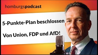 Union, FDP und AfD beschließen 5-Punkte-Plan