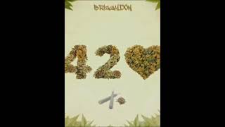 BrizzyDon_420 (official audio)