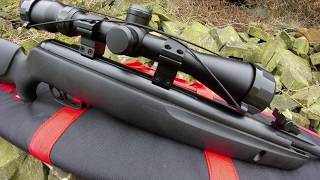 Gamo Whisper Sting air rifle review