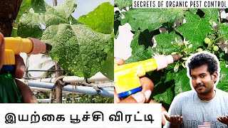 Secrets of Organic Pest Control Method - நம்மாழ்வார் அய்யா  Formula | Sakthivel Organics