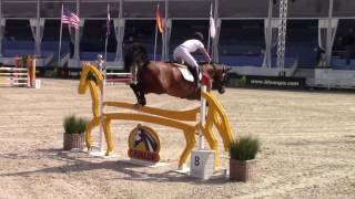 Townhead Shariva, 5 year old final, week 3, Knokke Hippique