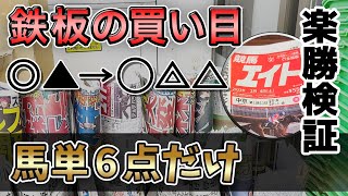 勝てる買い目【馬単6点】競馬新聞のプロに乗ると万馬券獲得!!　全12レースで検証