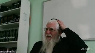 Sicha Mishpotim 5752 About Moshiach - Rabbi Majeski (8 Teves 5785)