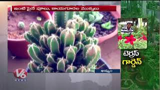 Special Story On Terrace Gardening By Forest Officer Satish | Khammam | V6 News