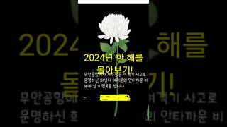 2024년 올해 한 해를 몰아보는 시간!(2025년에 돌아  오겠습니다!) #스브스뉴스