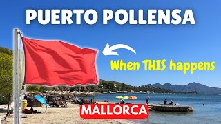 Things to do in Puerto Pollensa, Mallorca