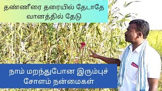 இரும்புச் சோளம் நன்மைகள், தண்ணீரை தரையில் தேடாதே வானத்தில் தேடு