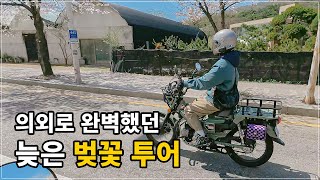Cherry Blossom Riding / Super Cub, Hunter Cub