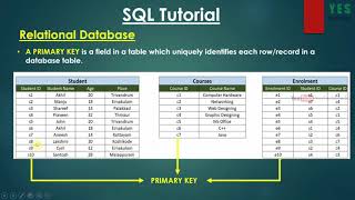 4. Primary Key SQL MySQL Malayalam Tutorial