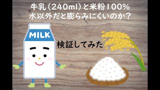 【ミズホチカラで検証！？】牛乳と米粉１００％、水以外だと膨らみにくいのか？検証してみた！？（ホームベーカリーでのパン作り）