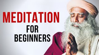 Meditating Every Day Changed My Life | Meditation for Beginners
