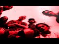 Senser - Switch (Peel Session)