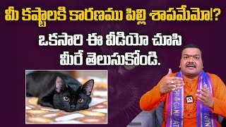 మీ కష్టాలకి కారణము పిల్లి శాపమేమో..? | Interesting Facts about Cats | Aadhan Adhyatmika