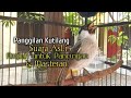 Suara Burung Kutilang Gacor ASLI Tanpa isian, Ampuh untuk Pikat Kutilang bikin kutilang Ribut gacor