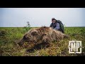 Alaska Arctic Grizzly | Mark V. Peterson Hunting
