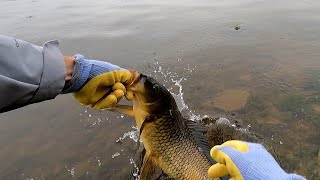 Spring Carp Fishing at Glenwood Lake