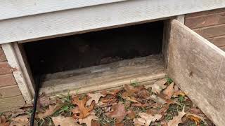 Wait Until 2:50!  Creepy Crawlspace Inspection By A Clarksville Home Inspector