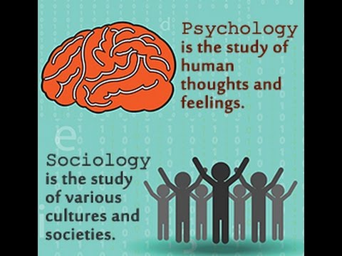 Difference Between Social Psychology And Sociology Difference Wiki