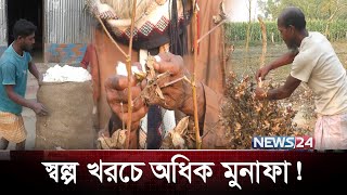 তুলতুলে নরম তুলায় লাখ টাকা | Business Idea | New Business | News24 Special